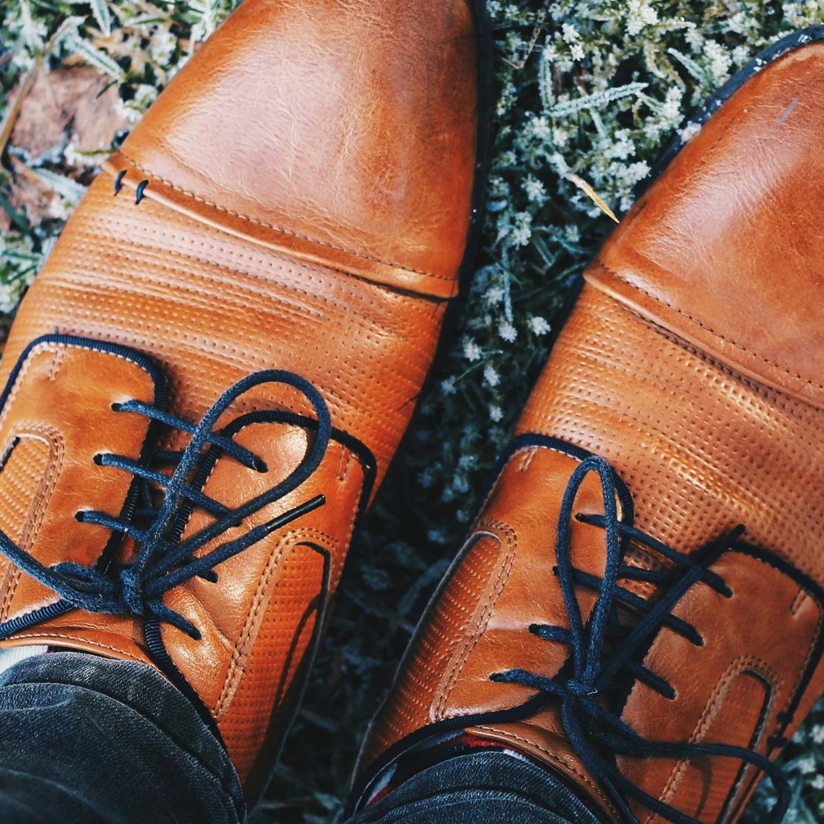 Midnight Blue Dress Shoelaces –